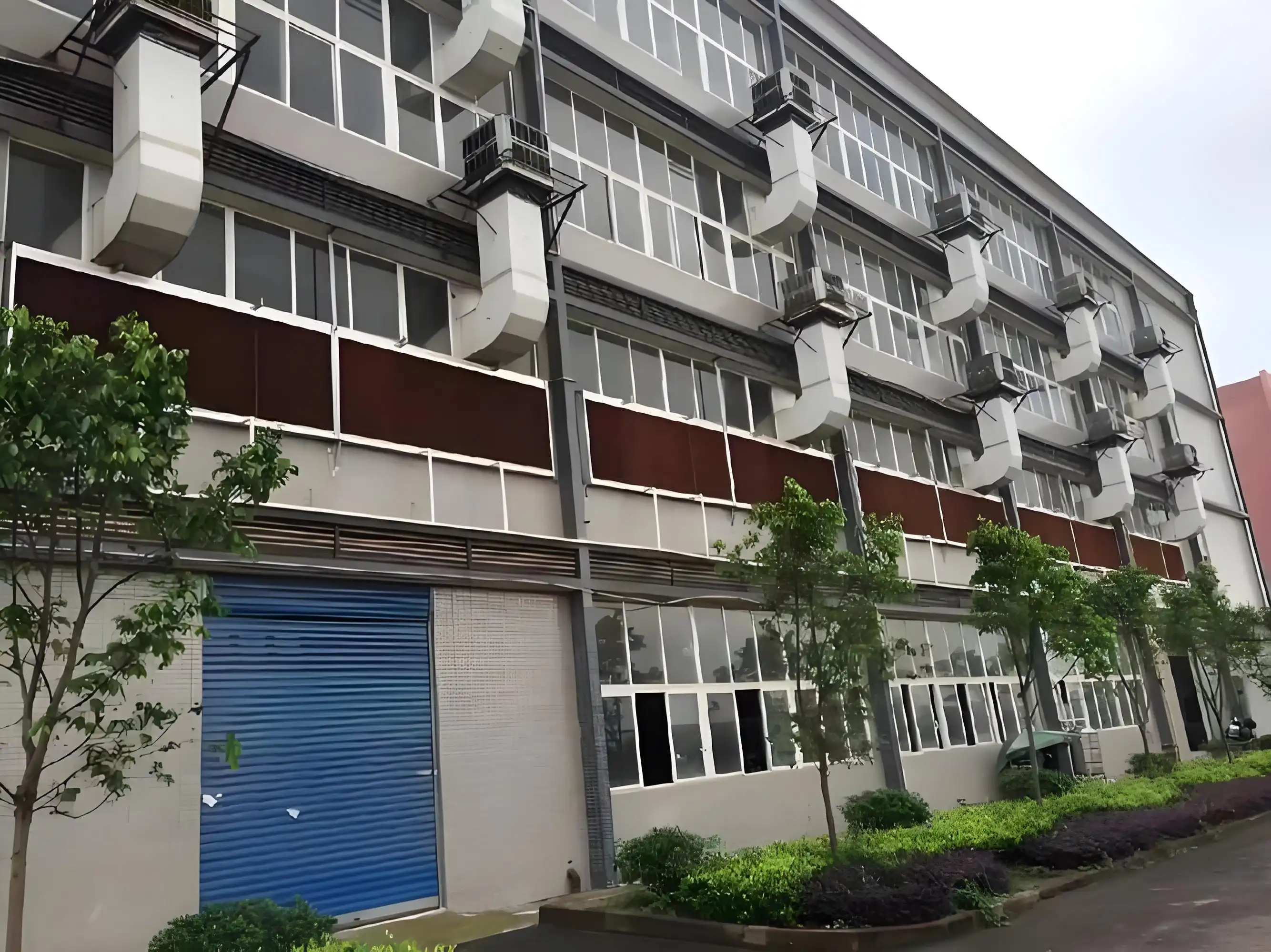 蛋鸡养殖场实拍