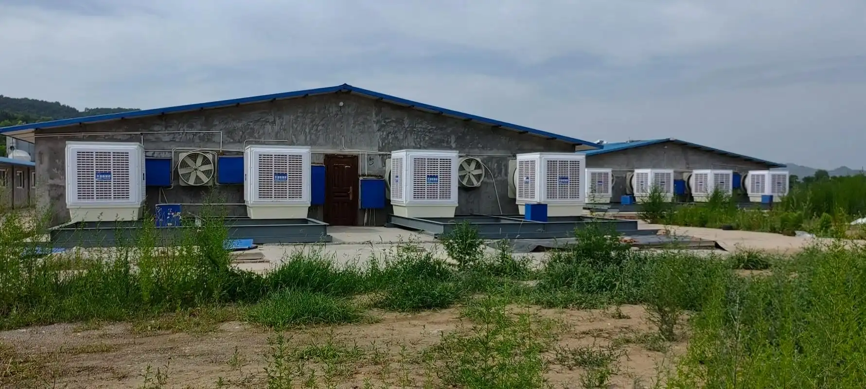 10万羽蛋鸡场降温